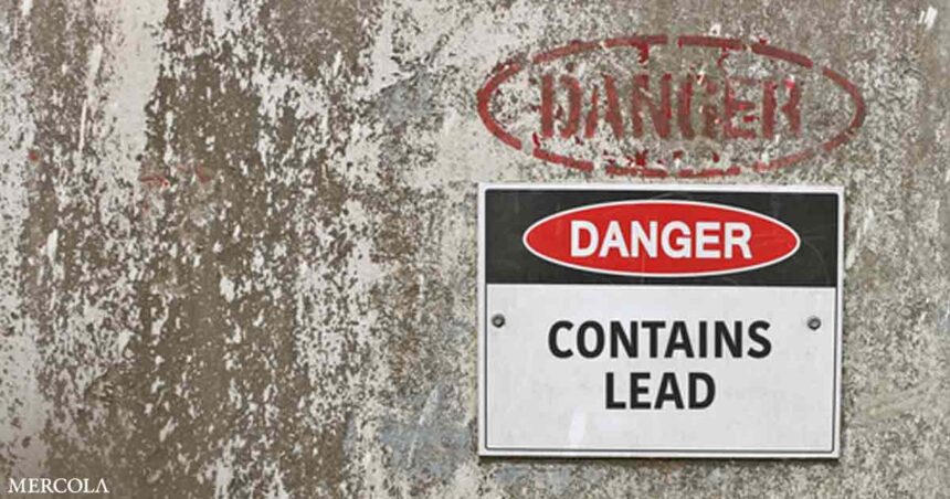 Eye-Opening Study on the Widespread Danger of Lead Poisoning