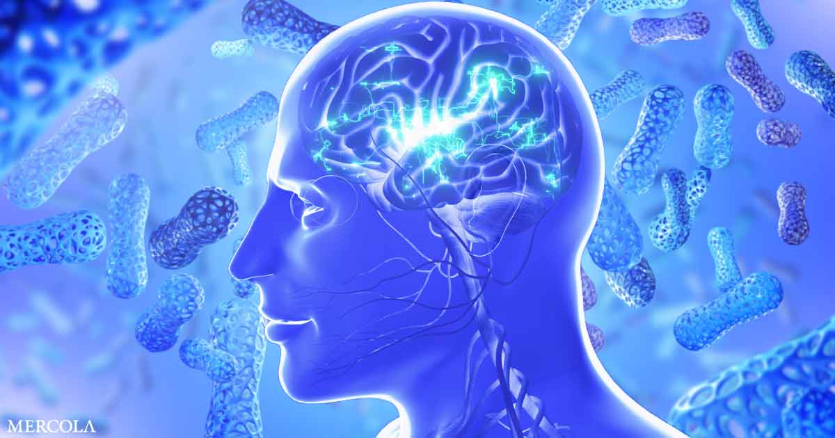 New Study Shows a Specific Gut Bacteria Linked to Alzheimer's