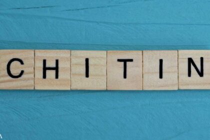 Should You Start Chowing Down on Chitin?