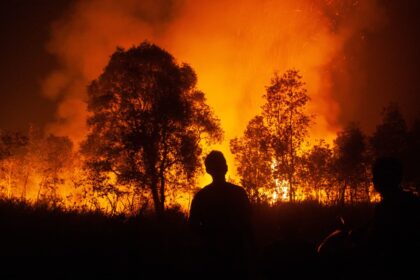 Southeast Asia haze returns as peatland fires fan global warming fears