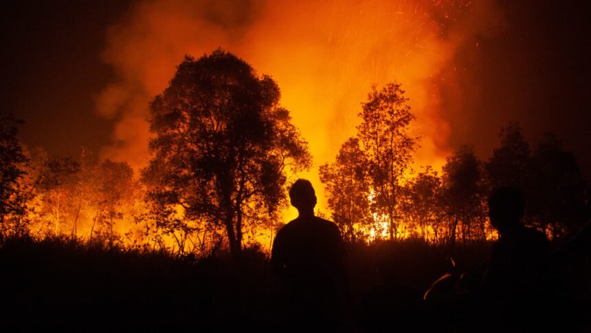 Southeast Asia haze returns as peatland fires fan global warming fears