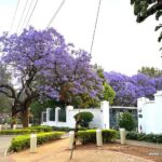 The Courtyard Hotel Arcadia – a serene Pretoria getaway