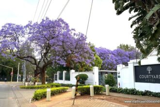 The Courtyard Hotel Arcadia – a serene Pretoria getaway