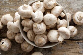 This Mushroom Compound Is a Longevity Powerhouse