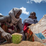 U.S. Resumes Food Aid for Refugees in Ethiopia