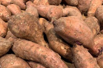 What Are the Health Benefits of Yams?