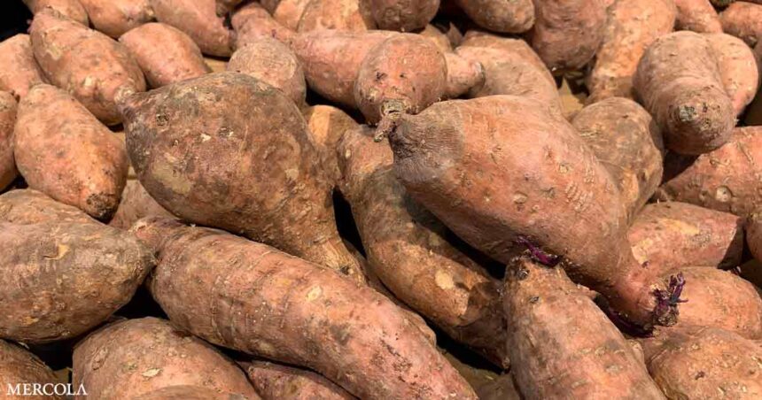 What Are the Health Benefits of Yams?