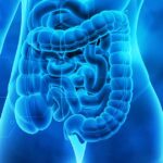 What Are the Keys to Optimal Digestion?