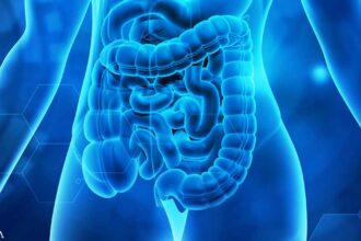 What Are the Keys to Optimal Digestion?