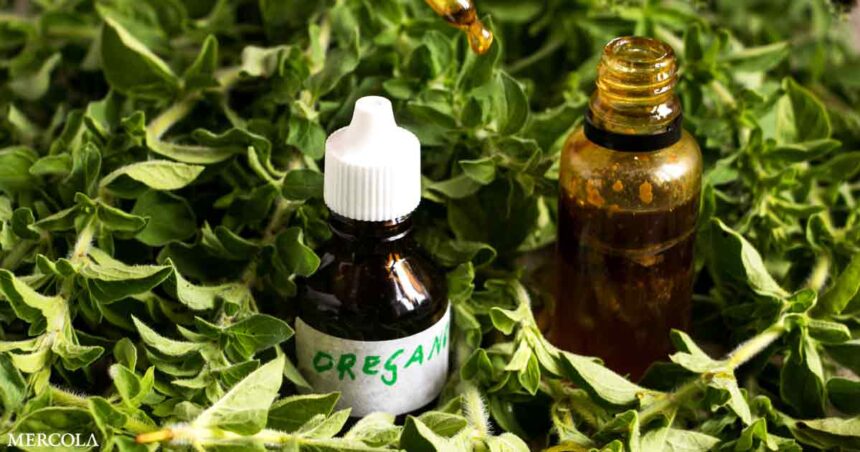 Why It's a Good Idea to Clean With Oregano Oil