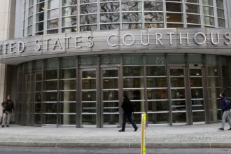 16 arrested in New York, Italy cases