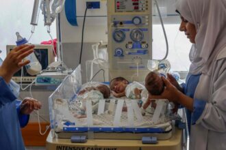 31 Premature Babies at Al-Shifa Hospital in Gaza Are Evacuated