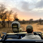 8 Best Big 5 Game Reserves near Johannesburg, South Africa