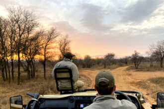 8 Best Big 5 Game Reserves near Johannesburg, South Africa