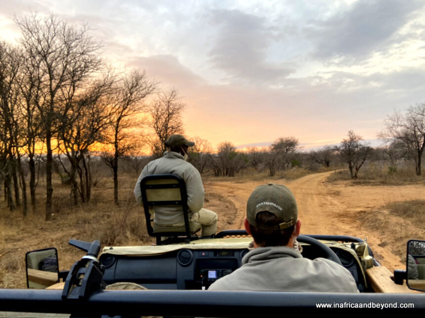 8 Best Big 5 Game Reserves near Johannesburg, South Africa