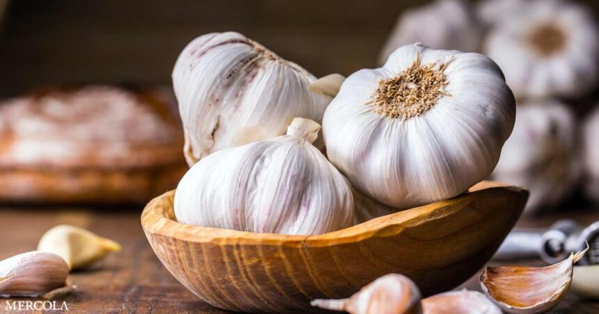 9 Health Benefits of Garlic