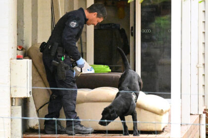 Arrest in Suspected Mushroom Poisoning Case in Australia