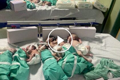 Babies at Al-Shifa Hospital Moved to Ward With Electricity