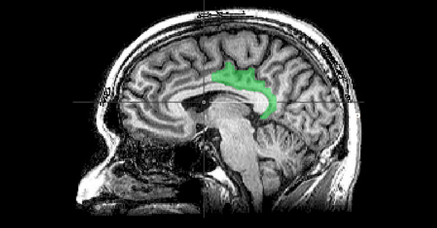 Brain Study Suggests Traumatic Memories Are Processed as Present Experience