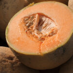 Cantaloupes Linked to Deadly Salmonella Outbreak, U.S. Says