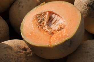 Cantaloupes Linked to Deadly Salmonella Outbreak, U.S. Says