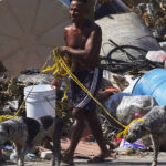 Cockroaches and Mountains of Trash Plague Acapulco After Hurricane