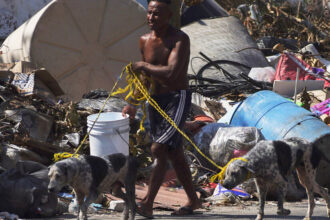 Cockroaches and Mountains of Trash Plague Acapulco After Hurricane