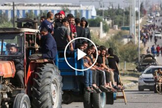 Displaced Palestinians Try to Return Home to Northern Gaza