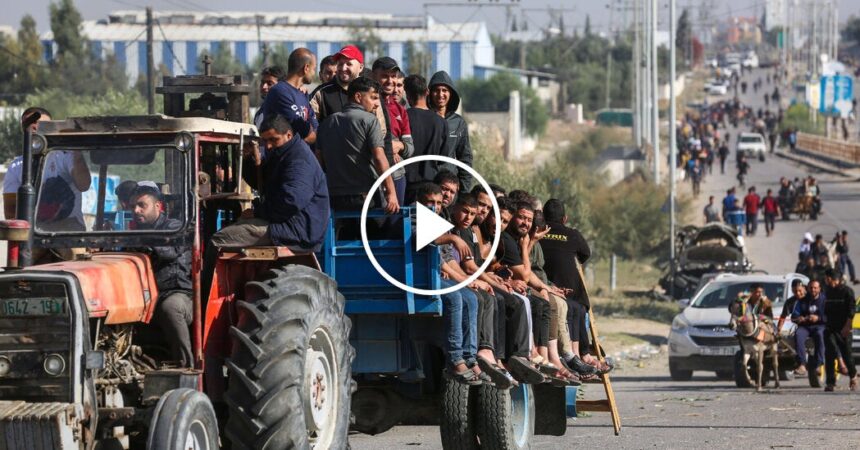 Displaced Palestinians Try to Return Home to Northern Gaza