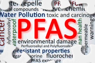 Exposure to PFAS and Your Risk for Thyroid Disease