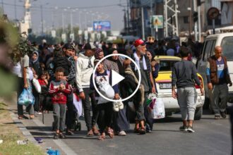 Gazans Flee ‘Destruction and Death’ as They Head South
