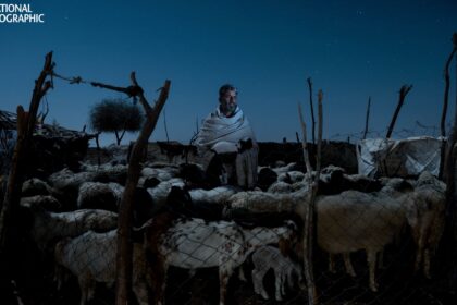 National Geographic's Pictures of the Year