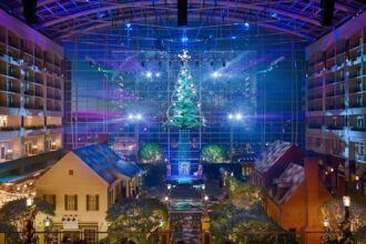 gaylord-national-atrium-tree