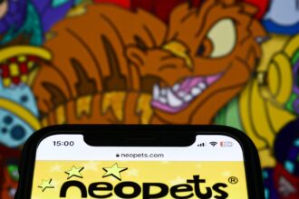 Neopets plans comeback in a vastly different era of gaming
