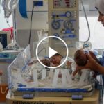 Premature Babies Are Treated After Evacuation From Al-Shifa Hospital