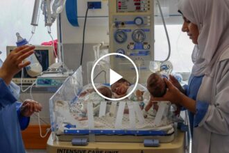 Premature Babies Are Treated After Evacuation From Al-Shifa Hospital