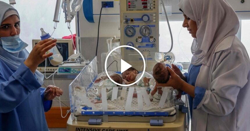 Premature Babies Are Treated After Evacuation From Al-Shifa Hospital