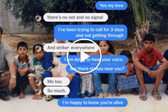 Surviving War in Gaza, One Text Message at a Time