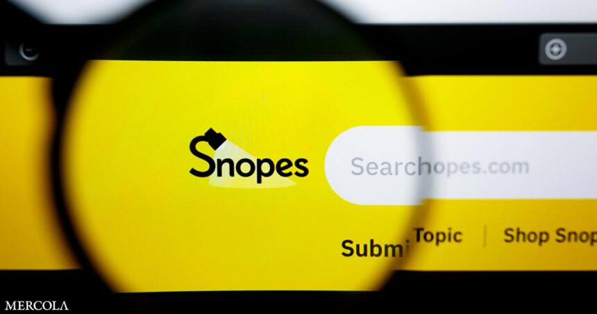 Why Snopes Gets an 'F'