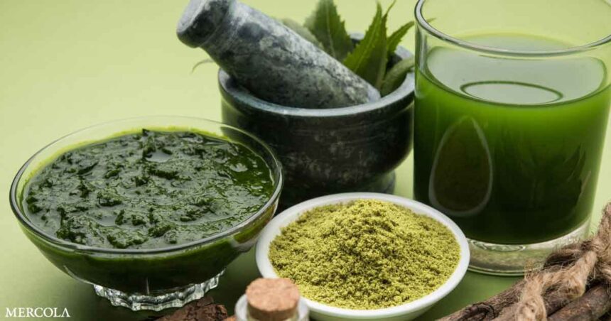 An Herbal Guide to Natural Pain Relief