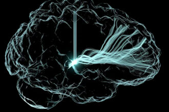 Brain Implants Helped 5 People Recover From Traumatic Injuries