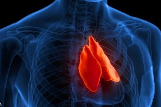 Could Your Thymus Be the Key to Fighting Cancer?