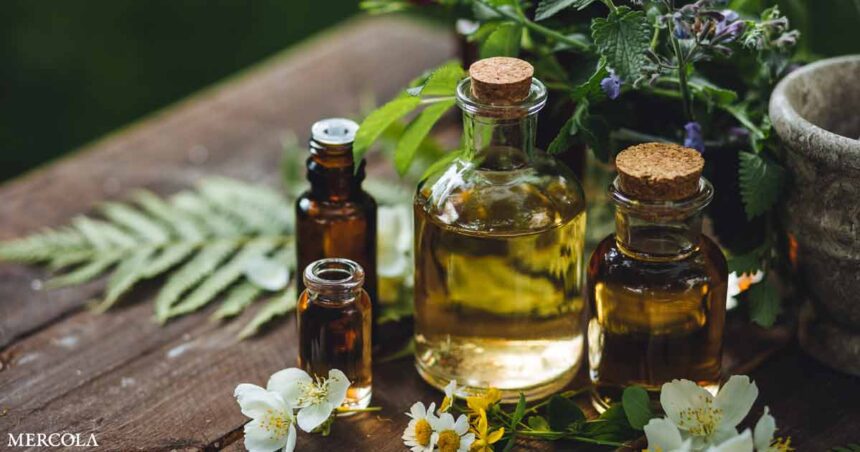 Essential Oils Can Help ADHD