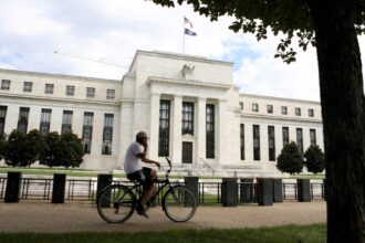 Fed should cut rates at least 5 times next year, portfolio manager says