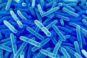 How Lactobacillus Protects Your Health