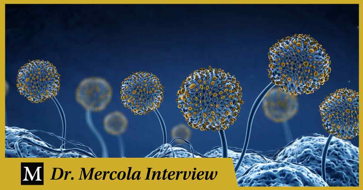 How Spore Probiotics Can Help You