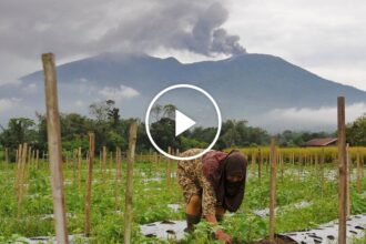 Indonesian Volcano Erupts