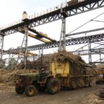 A tractor transports sugarcane into the state-owned Mumias Sugar refinery.