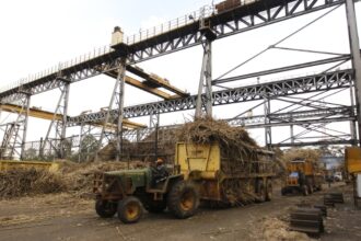 A tractor transports sugarcane into the state-owned Mumias Sugar refinery.