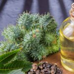 Practical Reasons to Stock a Bottle of Castor Oil at Home